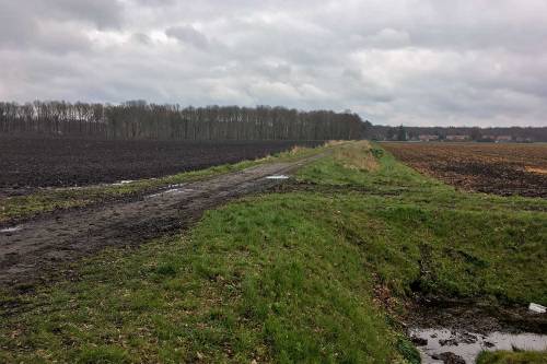Zandpad richting het Houtjesplein